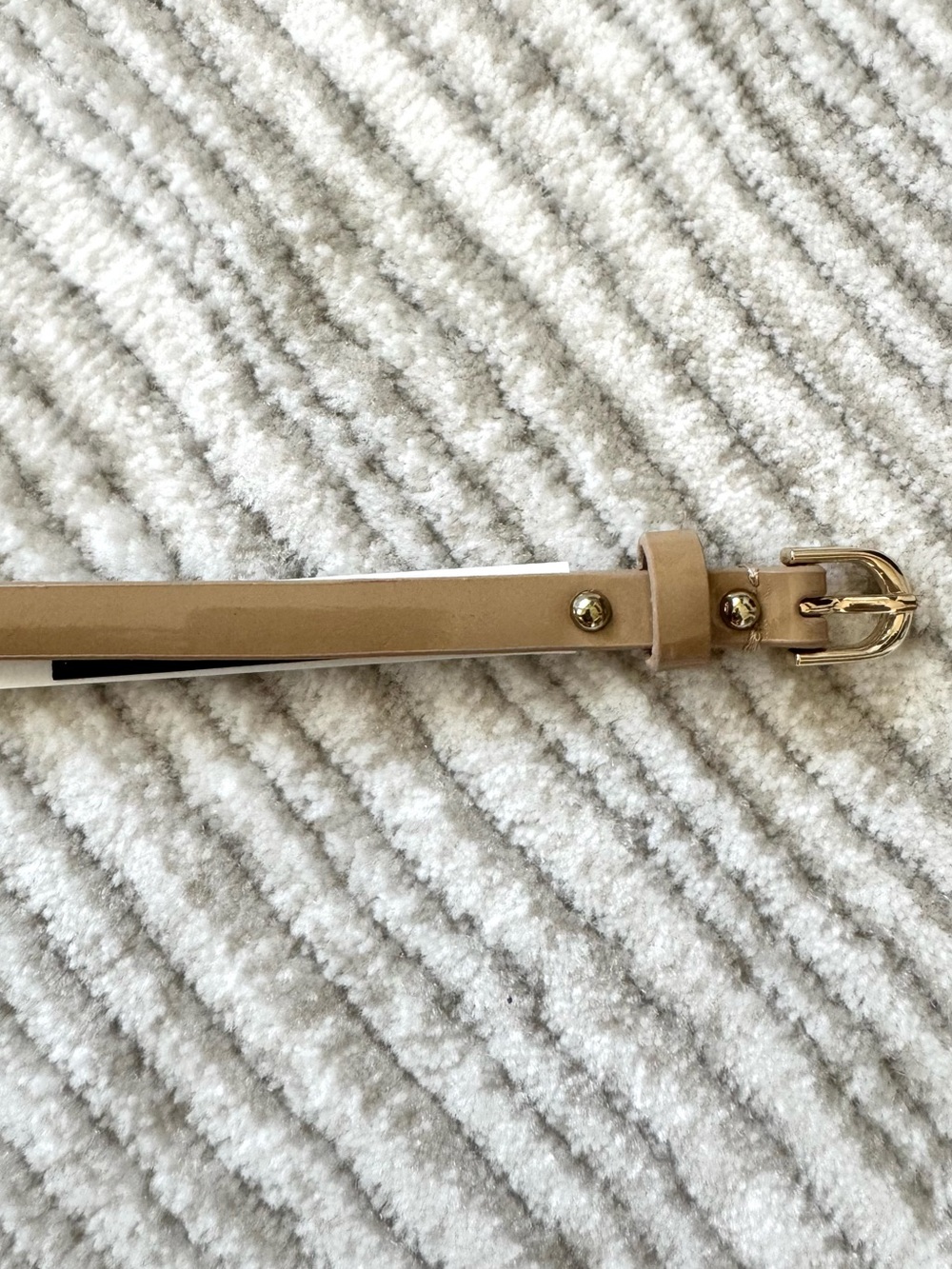 Ann Taylor Nude Beige Patent Skinny Belt Gold Dome Studs Size S NWT - Picture 2 of 6